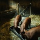 진보농장 이미지