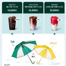 하늘그린(주) | 스타벅스 우산 2025 신상 내돈내산 그린 스벅 후기