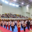 대성태권도 이미지