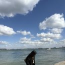 (주)한진 | 당진 한진포구 전망대 해안 산책로 후기