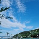 블루망고풀빌라앤리조트 이미지