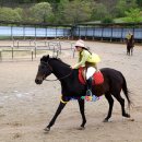 순천승마장 이미지