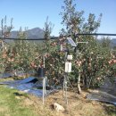 풍산농원 이미지