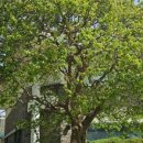 하늘그린(주) 이미지