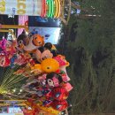 고양이미용호텔 우아캣 | 대만 타이베이 여행 2일차 (3) | 지아펀 쿠부 궈우 타이베이 신생점 우유 훠궈 | 중산 맛집 | 시먼딩 팝...