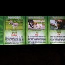 개와고양이 반려동물원 이미지