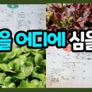 텃밭작물 선정 & 배치 꿀팁 이미지