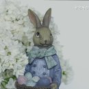 유성사랑나무