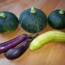 유신농장 이미지