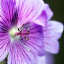 헬씨라이프 이미지