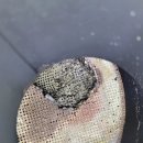 수원-0632 이미지