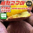 해남 우리 농산물