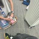 제주도 수학여행 리얼후기