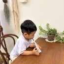 카페프리헷매탄한국점