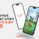 모아모아