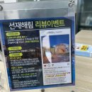 해림펜션 | 대부도 오션뷰 숙소 선재도 독채 펜션 선재해림 풀빌라 내돈내산 후기