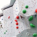 인공암벽장 이미지