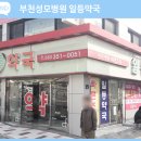 성모큰사랑약국 이미지