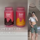 참치빠 | 쉐이크베이비 단백질 쉐이크추천 급찐급빠 식단 성공후기