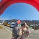 산수유사이길사이로식당앞 | 2026 광양 매화축제 &amp; 구례산수유 실시간 후기🔥 지금가면 인생샷 (주차/시간/포토존)