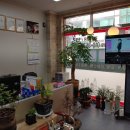 가로수 공인중개사사무소 이미지