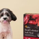 개스토랑 이미지