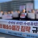 이 시점에 총리 산하 박석운 사회대개혁위원장의 美대사관 앞 규탄 시위 이미지