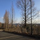 고봉배수지체육시설 이미지