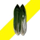 케이씨무역 이미지