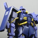 수정칼라 이미지