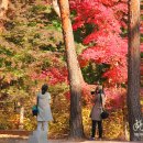 가을 이미지