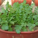 팔달초등학교 이미지