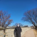 수원팔색길 수원둘레길 | 수원화성 성곽길 수원팔색길 1시간 30분 둘레길 코스 완주했어요 (장안문-팔달산-지동시장-방화수류정)