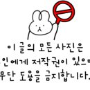 라시트포 뎁트(LACITPO DEPT) 이미지