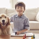 안성동물의료센터 이미지