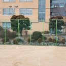 작전중학교 이미지