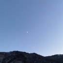평창수입육