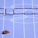 미로월드 이미지