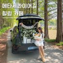 삼백로 | 안성카페 '풍사니랑' 메타세콰이어길에서 평생 잊지 못할 프로포즈 받은 후기