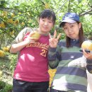 정임농장 이미지