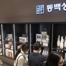 동백상회 국제신문