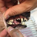 아마존 동물병원 이미지