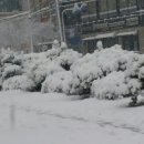 하얀나라깨끗한세상 이미지