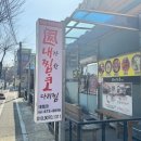 진도 맛코다리 이미지