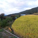 남양1리 경로당 이미지