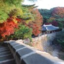 도고면 도고면로 이미지