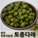 쌍둥이농원 이미지