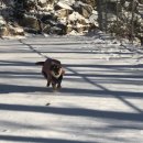 문경관광농원 이미지