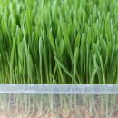 보리마을농장 이미지