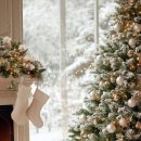 해피데이 이미지